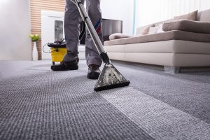 A professional using a steam cleaning machine to deep clean carpet in a residential living room
