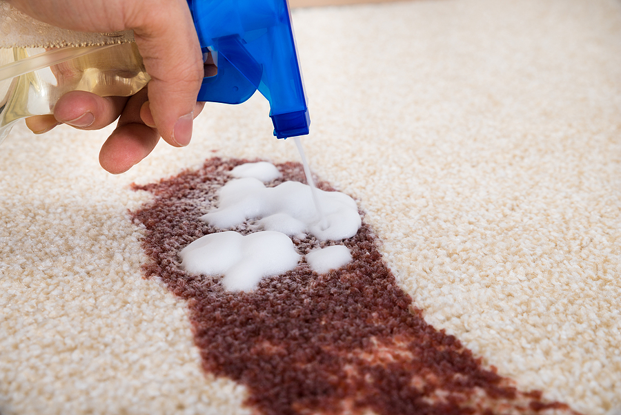 Applying a carpet cleaning solution to remove stains from wool carpet fibres